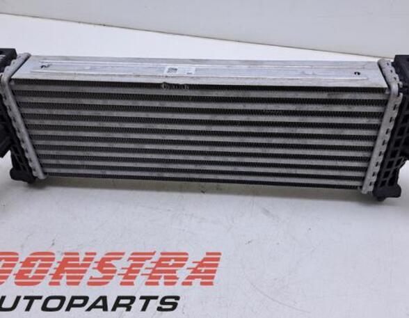 Intercooler FORD TRANSIT V363 Bus (FAD, FBD), FORD TRANSIT V363 Van (FCD, FDD)