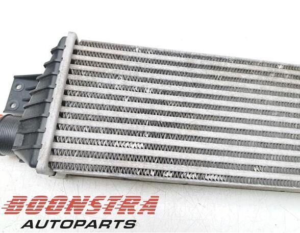 Intercooler SSANGYONG REXTON W / REXTON