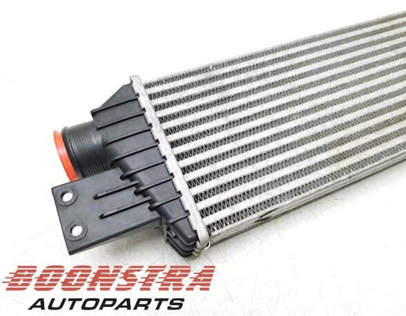 Intercooler SSANGYONG REXTON W / REXTON