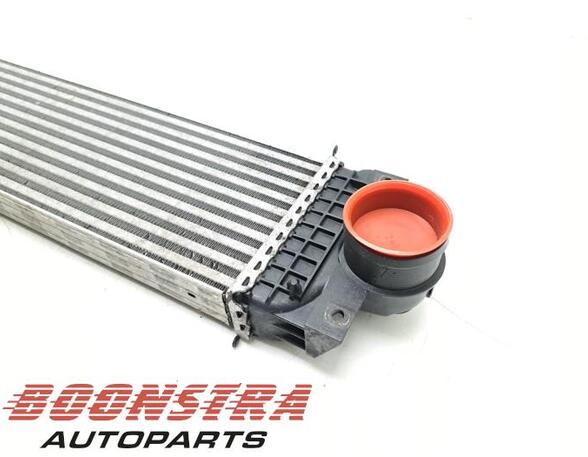 Intercooler FORD GALAXY III (CK), FORD S-MAX (CJ, WA6)