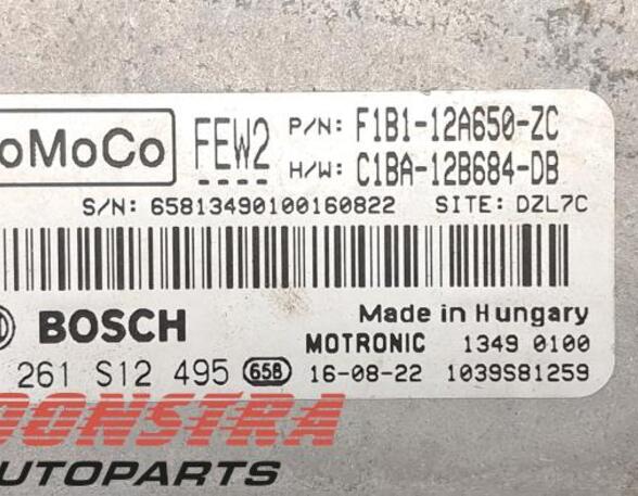 P20940407 Steuergerät Motor FORD Fiesta VI (CB1, CCN) F1B112A650ZC