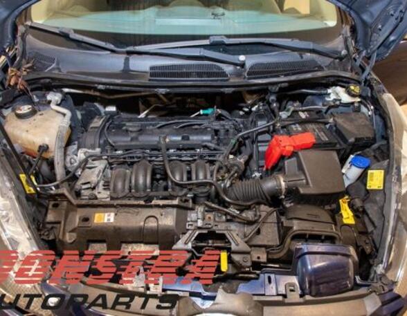 Bare Engine FORD FIESTA VI (CB1, CCN)