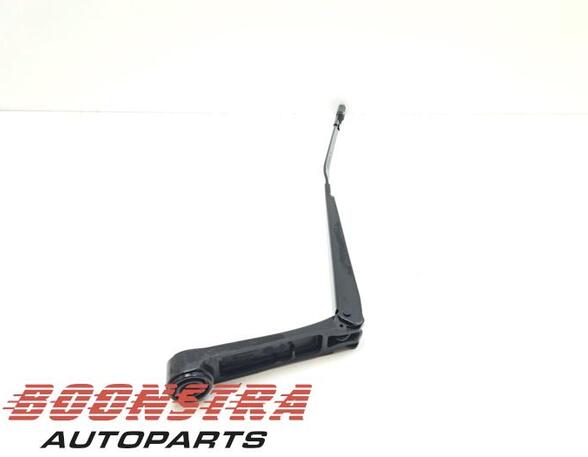 Wiper Arm AUDI E-Tron (GEN)