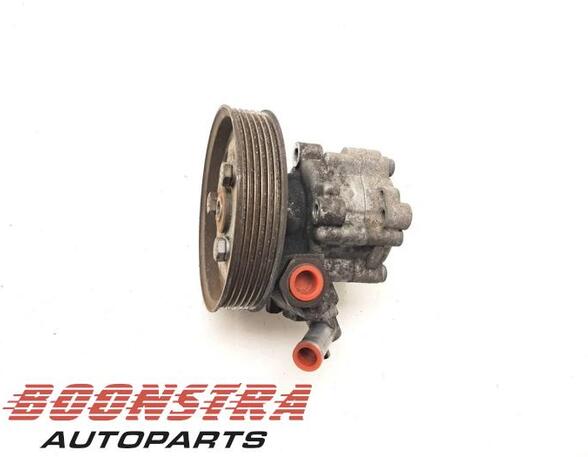 Power steering pump FIAT DOBLO Cargo (263_), FIAT DOBLO Platform/Chassis (263_)