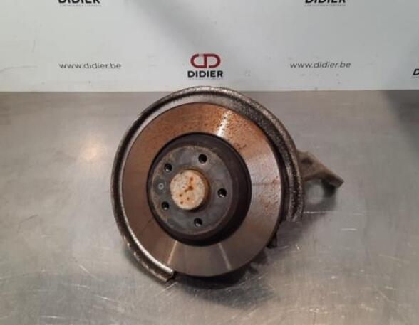 Stub Axle AUDI A6 Avant (4G5, 4GD, C7), AUDI Q5 (8RB)