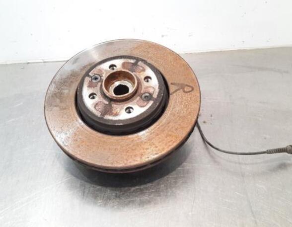 Stub Axle RENAULT CLIO V (B7_)