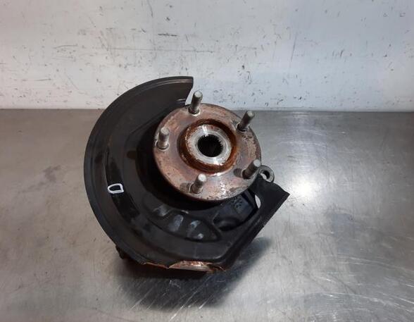 Stub Axle NISSAN JUKE (F15)