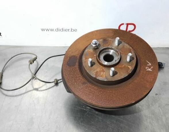 Stub Axle NISSAN JUKE (F15)