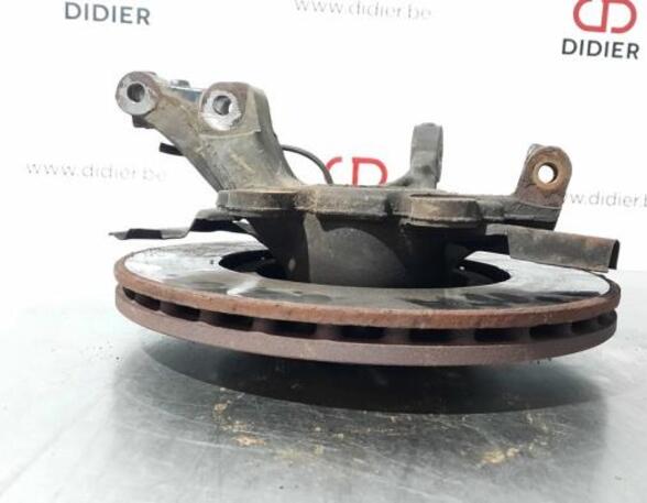 Stub Axle FIAT DOBLO Cargo (263_), FIAT DOBLO Platform/Chassis (263_), FIAT DOBLO MPV (263_)