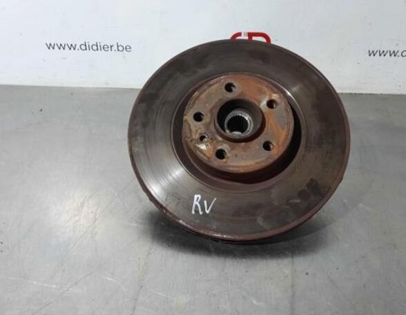 Stub Axle FIAT DOBLO Cargo (263_), FIAT DOBLO Platform/Chassis (263_), FIAT DOBLO MPV (263_)