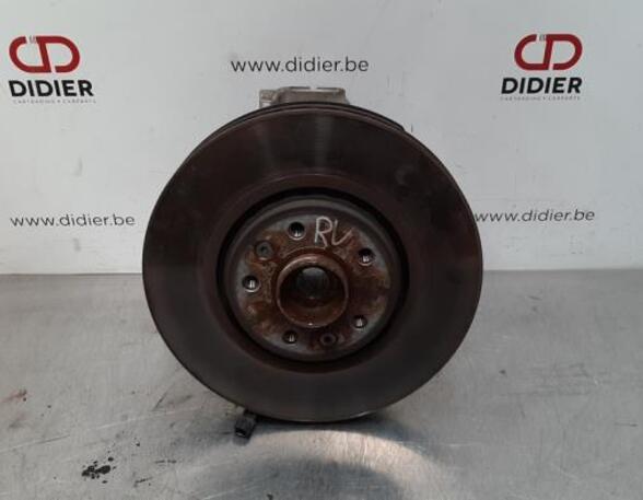 Stub Axle RENAULT ESPACE V (JR_)