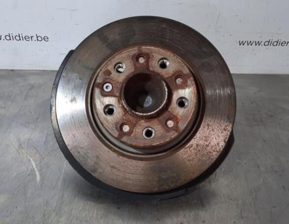 Stub Axle FIAT 500X (334_), FIAT QUBO (225_)