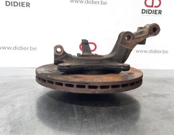 Stub Axle RENAULT KANGOO Express (FW0/1_), RENAULT KANGOO / GRAND KANGOO (KW0/1_)