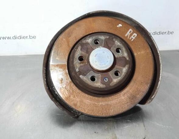 Stub Axle AUDI Q5 (FYB, FYG)