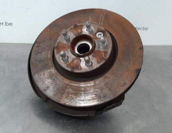 Stub Axle LAND ROVER FREELANDER 2 (L359)