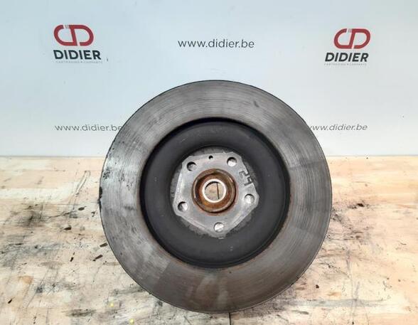 Stub Axle AUDI Q7 (4LB), AUDI Q7 (4MB, 4MG), AUDI Q7 Van (4LB), AUDI Q7 Van (4MB, 4MG)