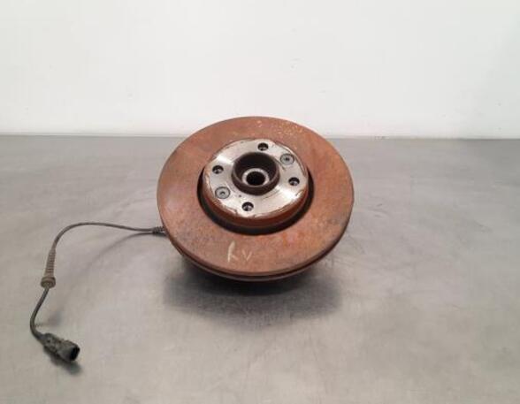 Stub Axle RENAULT CLIO V (B7_)