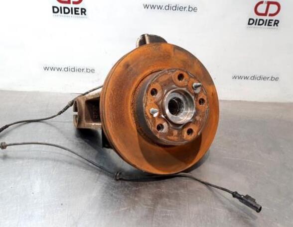 Stub Axle FIAT DUCATO Van (250_, 290_), FIAT DUCATO Bus (250_, 290_)