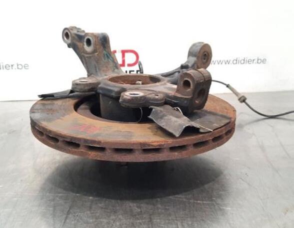 Stub Axle FIAT DOBLO Cargo (263_), FIAT DOBLO Platform/Chassis (263_), FIAT DOBLO MPV (263_)