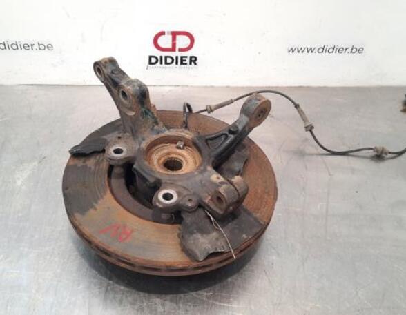 Stub Axle FIAT DOBLO Cargo (263_), FIAT DOBLO Platform/Chassis (263_), FIAT DOBLO MPV (263_)