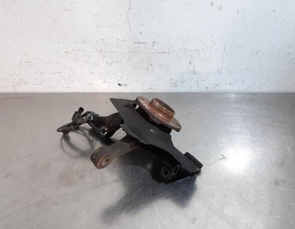 Stub Axle FIAT FIORINO Box Body/MPV (225_), FIAT QUBO (225_), FIAT FIORINO MPV (225_)