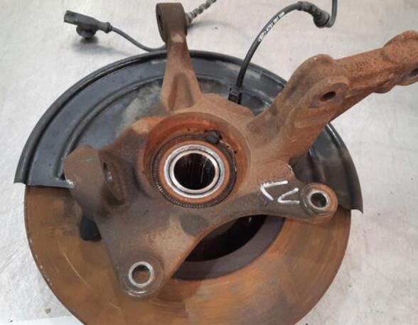 Stub Axle DACIA DUSTER (HM_)