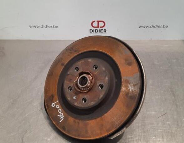 Stub Axle AUDI Q5 (FYB, FYG)