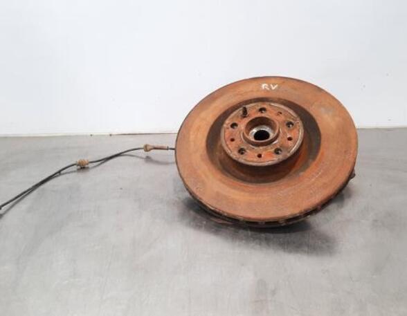 Stub Axle FIAT DOBLO Cargo (263_), FIAT DOBLO Platform/Chassis (263_), FIAT DOBLO MPV (263_)