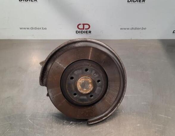 Stub Axle AUDI A6 Avant (4G5, 4GD, C7), AUDI Q5 (8RB)