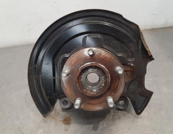 Stub Axle NISSAN LEAF (ZE1), NISSAN JUKE (F15)