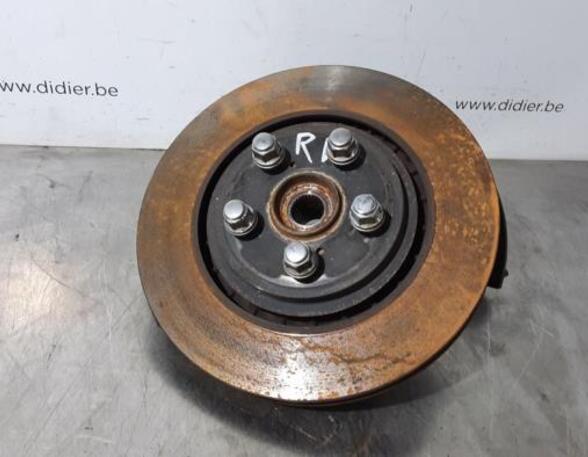 Stub Axle TOYOTA RAV 4 V (_A5_, _H5_)