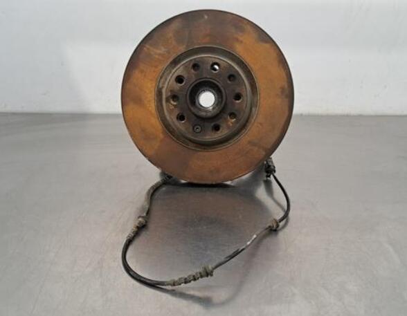 Stub Axle FIAT 500X (334_), FIAT QUBO (225_)