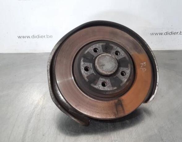 Stub Axle AUDI A4 Avant (8W5, 8WD, B9)