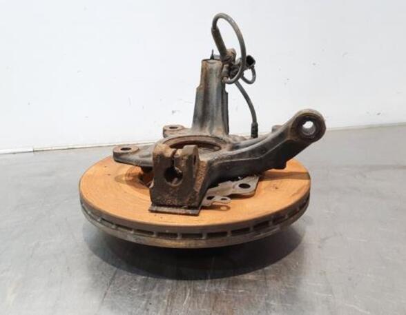 Stub Axle RENAULT CLIO III (BR0/1, CR0/1)