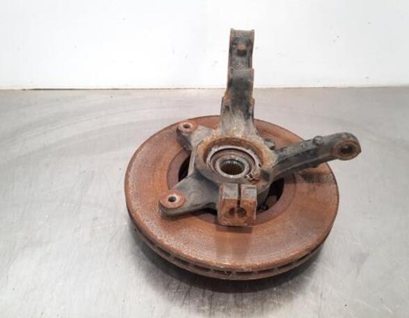 Stub Axle RENAULT KANGOO Express (FW0/1_), RENAULT KANGOO / GRAND KANGOO (KW0/1_)