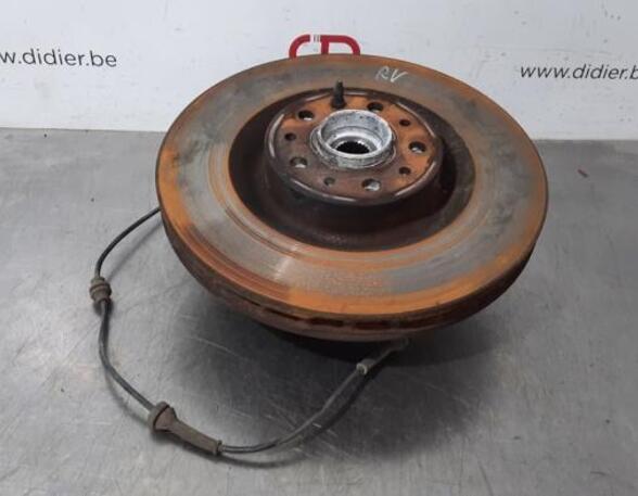 Stub Axle FIAT DOBLO Cargo (263_), FIAT DOBLO Platform/Chassis (263_), FIAT DOBLO MPV (263_)