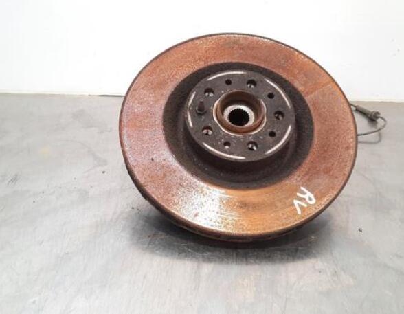 Stub Axle FIAT DOBLO Cargo (263_), FIAT DOBLO Platform/Chassis (263_), FIAT DOBLO MPV (263_)