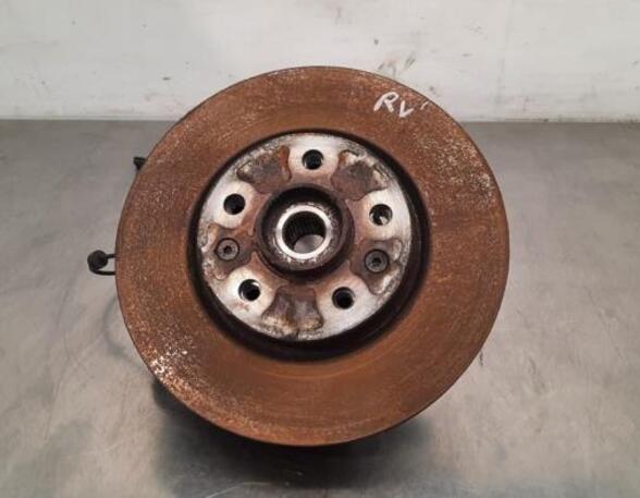 Stub Axle NISSAN QASHQAI III (J12)