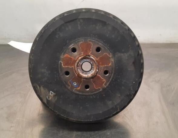 Stub Axle CUPRA BORN (K11)