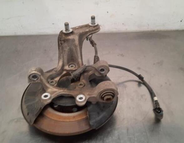 Stub Axle KIA NIRO I (DE)