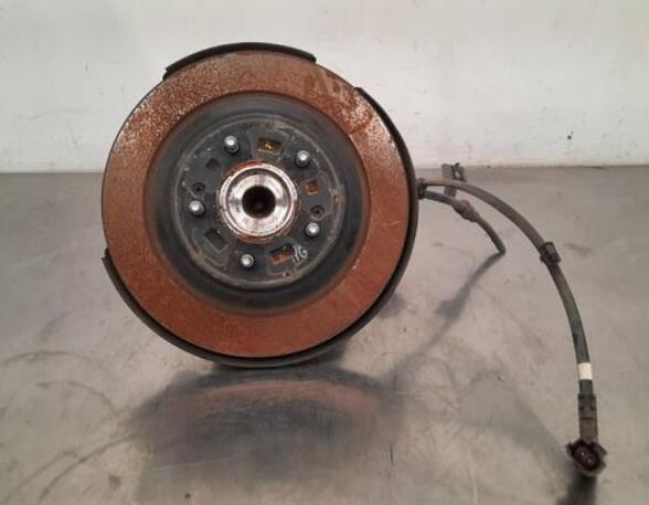 Stub Axle KIA NIRO I (DE)