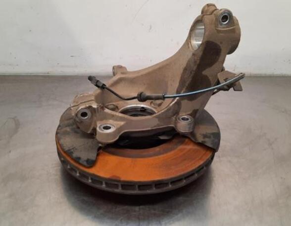 Stub Axle RENAULT AUSTRAL