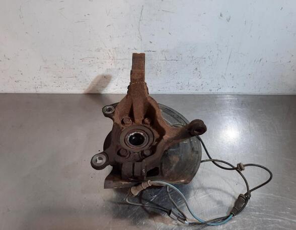 Stub Axle NISSAN JUKE (F15)