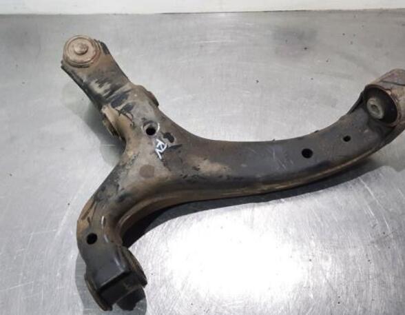 Track Control Arm VW AMAROK (2HA, 2HB, S1B, S6B, S7A, S7B), VW AMAROK Platform/Chassis (S1B, S6B, S7B)