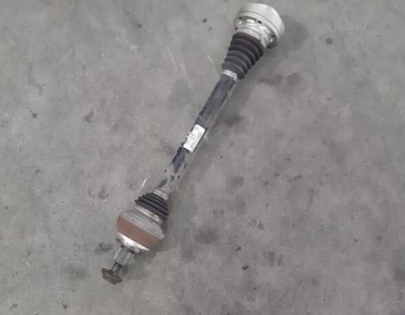 Drive Shaft AUDI A4 (8W2, 8WC, B9)