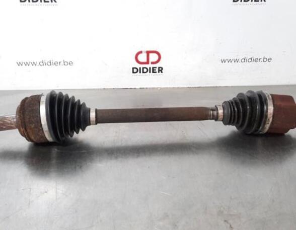 Drive Shaft RENAULT MASTER III Van (FV), RENAULT MASTER III Platform/Chassis (EV, HV, UV)