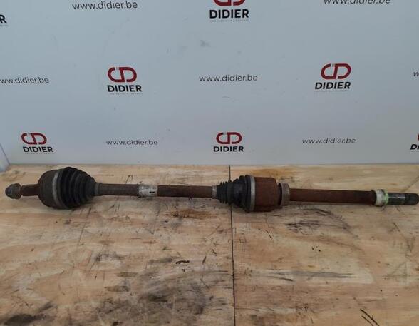 Drive Shaft RENAULT MASTER III Platform/Chassis (EV, HV, UV)