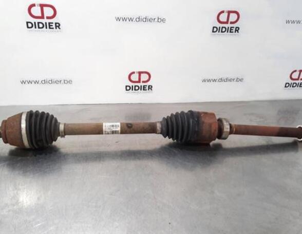 Drive Shaft RENAULT GRAND SCÉNIC IV (R9_), RENAULT SCÉNIC IV (J9_)