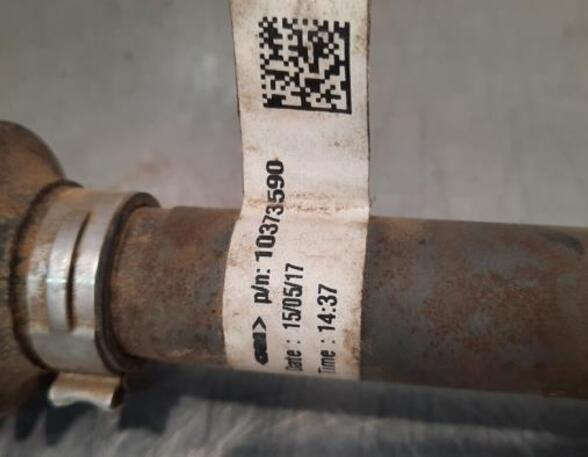 Drive Shaft FIAT TIPO Estate (356_), FIAT TIPO Hatchback (356_)