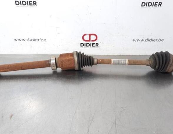 Drive Shaft RENAULT KANGOO Express (FW0/1_)